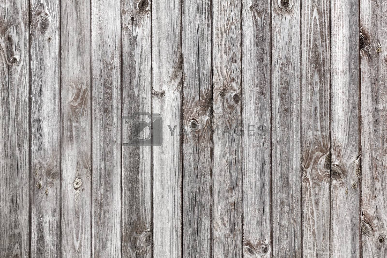 Royalty free image of Wood texture by yelenayemchuk