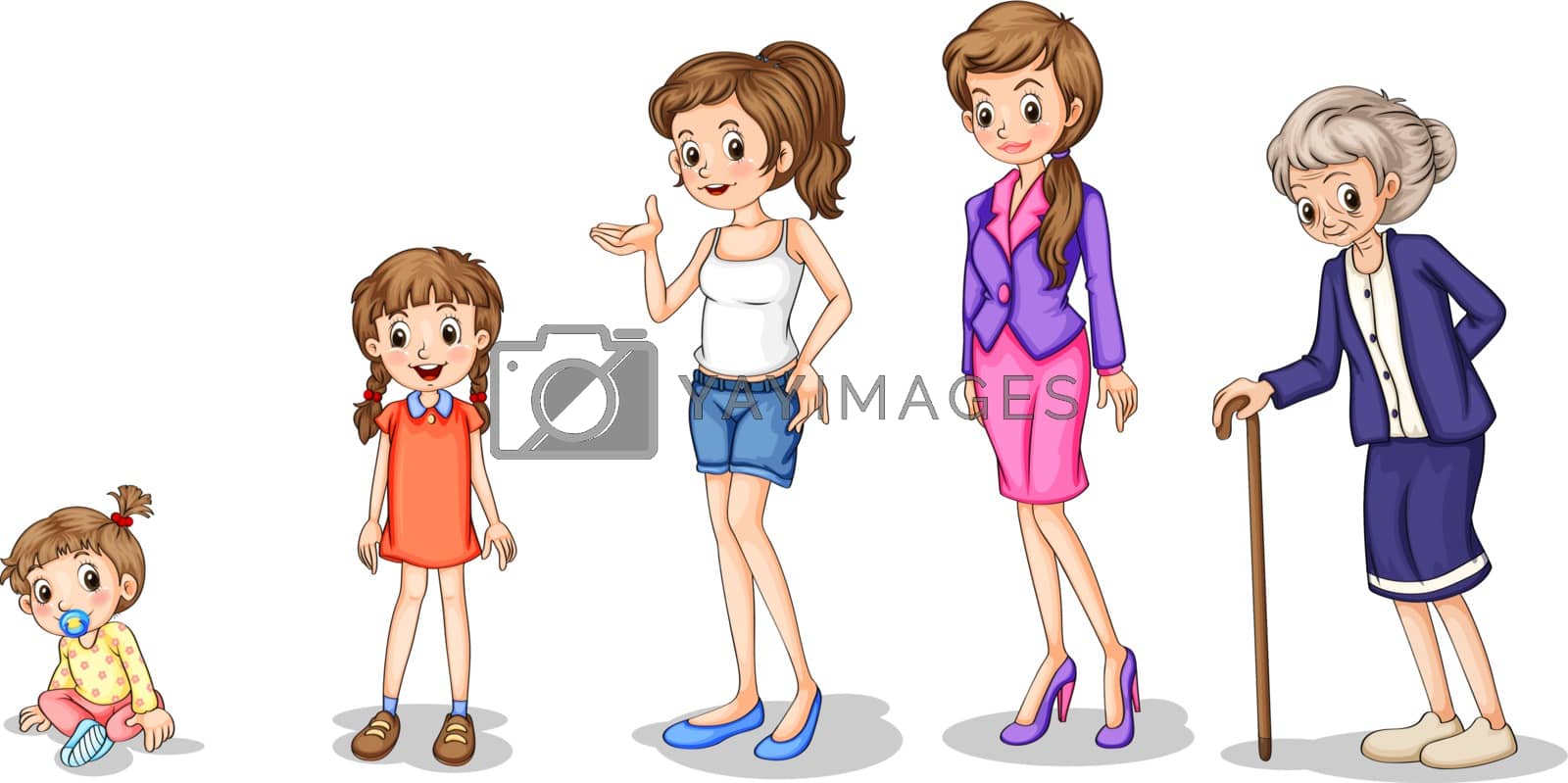 Royalty free image of Phases of a growing female by iimages