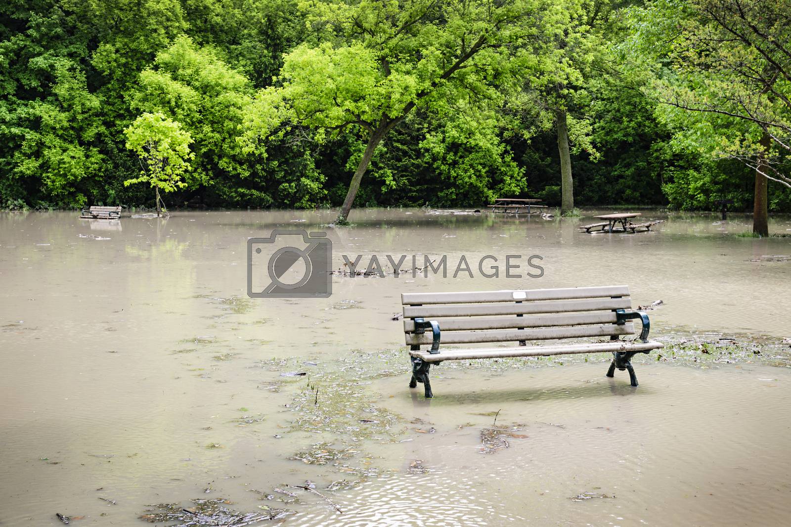 Royalty free image of Flood in park by elenathewise