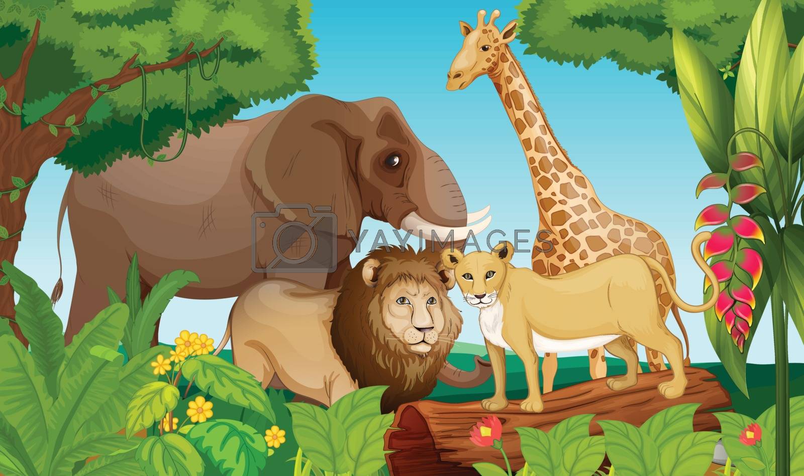 Royalty free image of Animals in the jungle by iimages