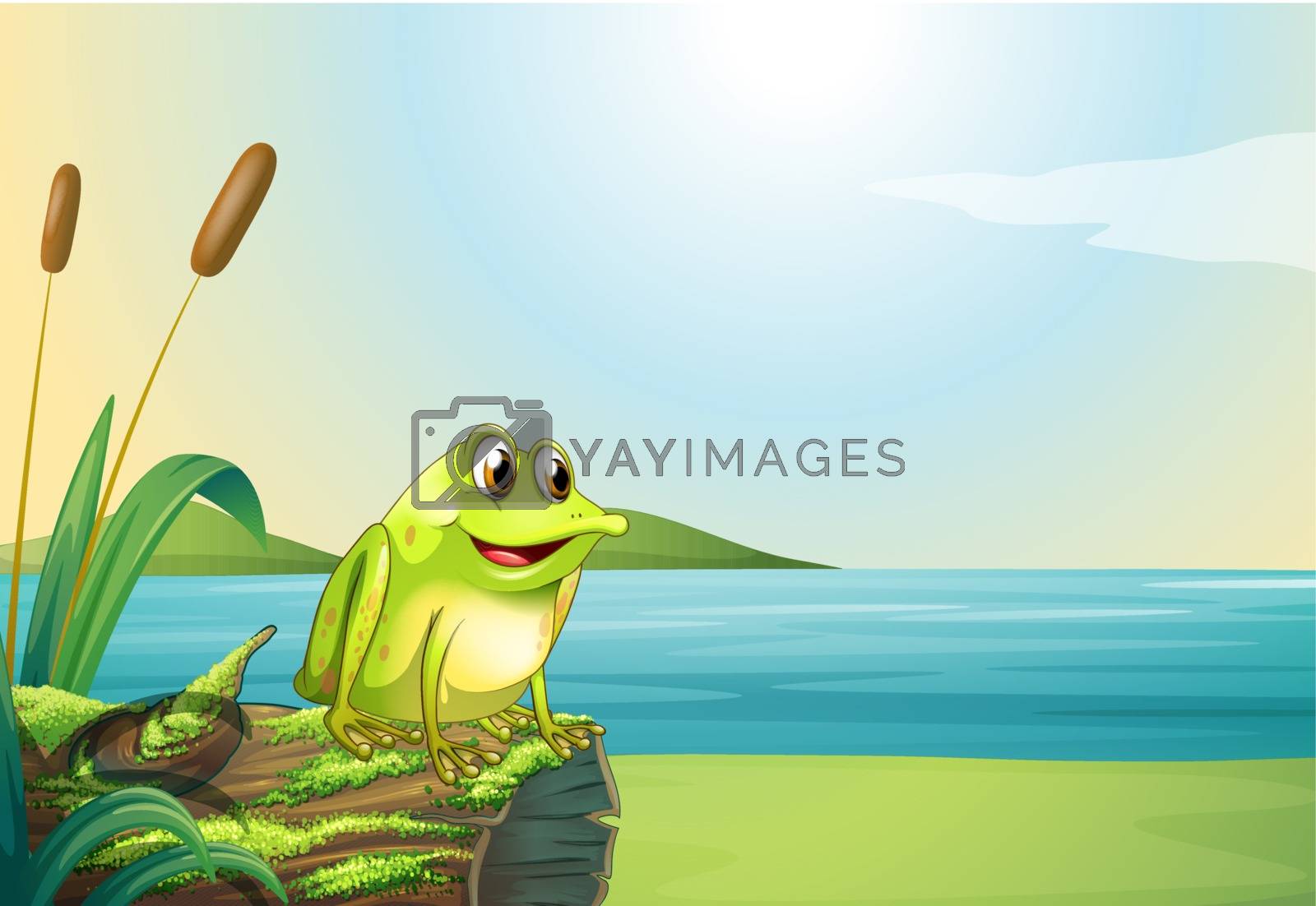 Royalty free image of A frog above a trunk at the riverbank by iimages