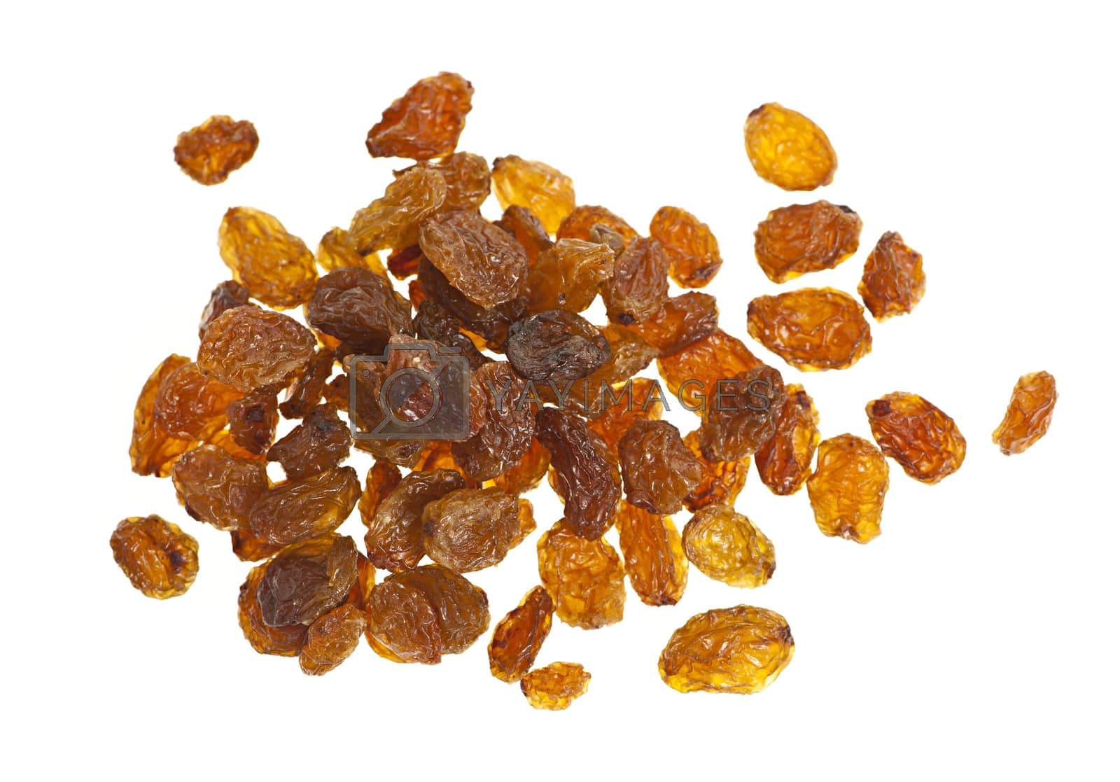 Royalty free image of Pile of yellow sultana raisins on white by elenathewise