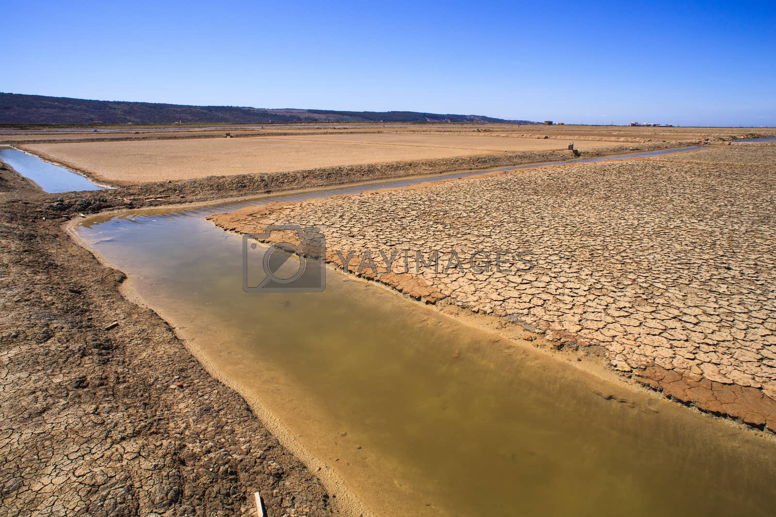 Royalty free image of View of Salt evaporation ponds in Secovlje by bepsimage