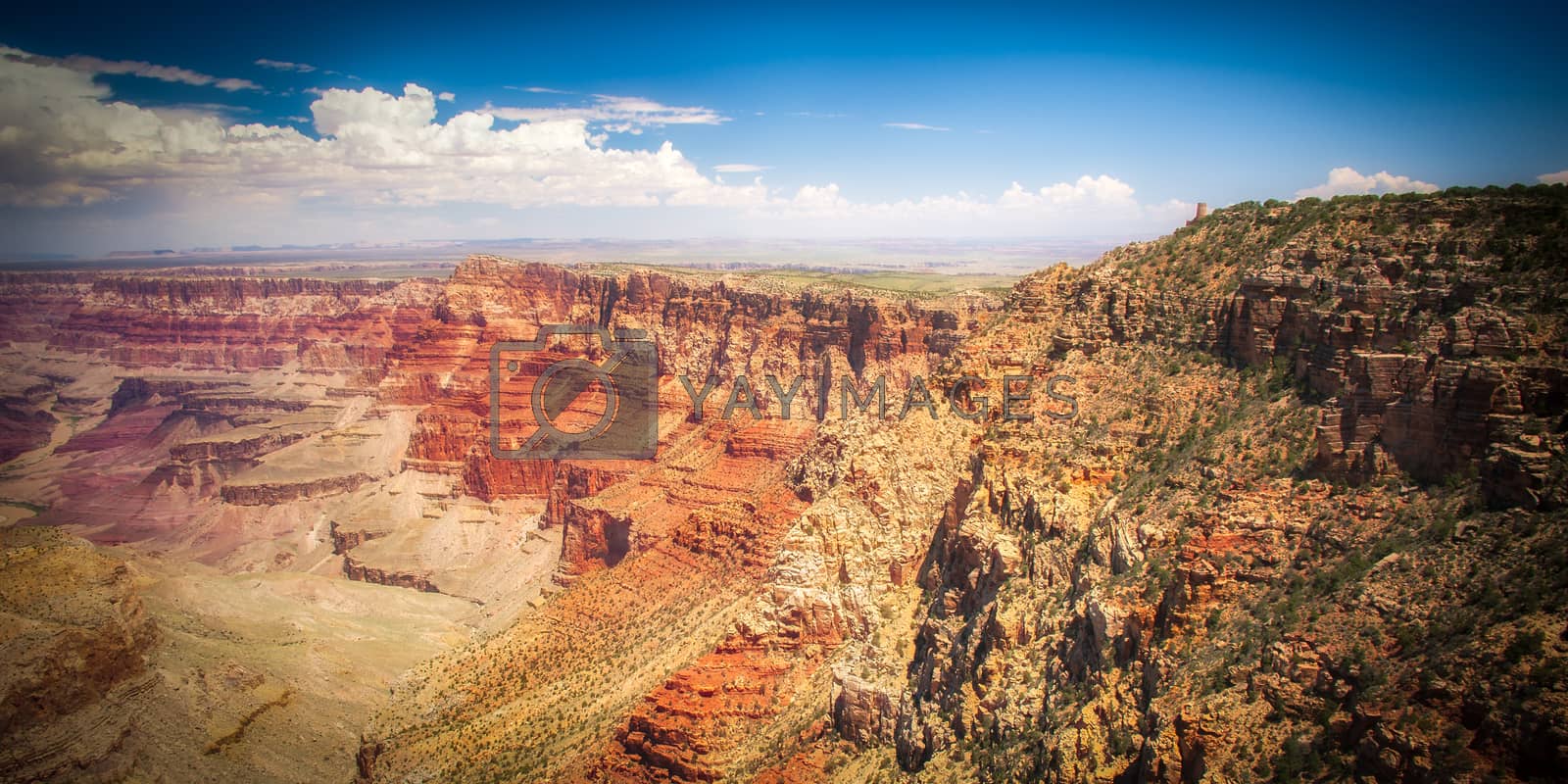 Royalty free image of Grand Canyon by CelsoDiniz