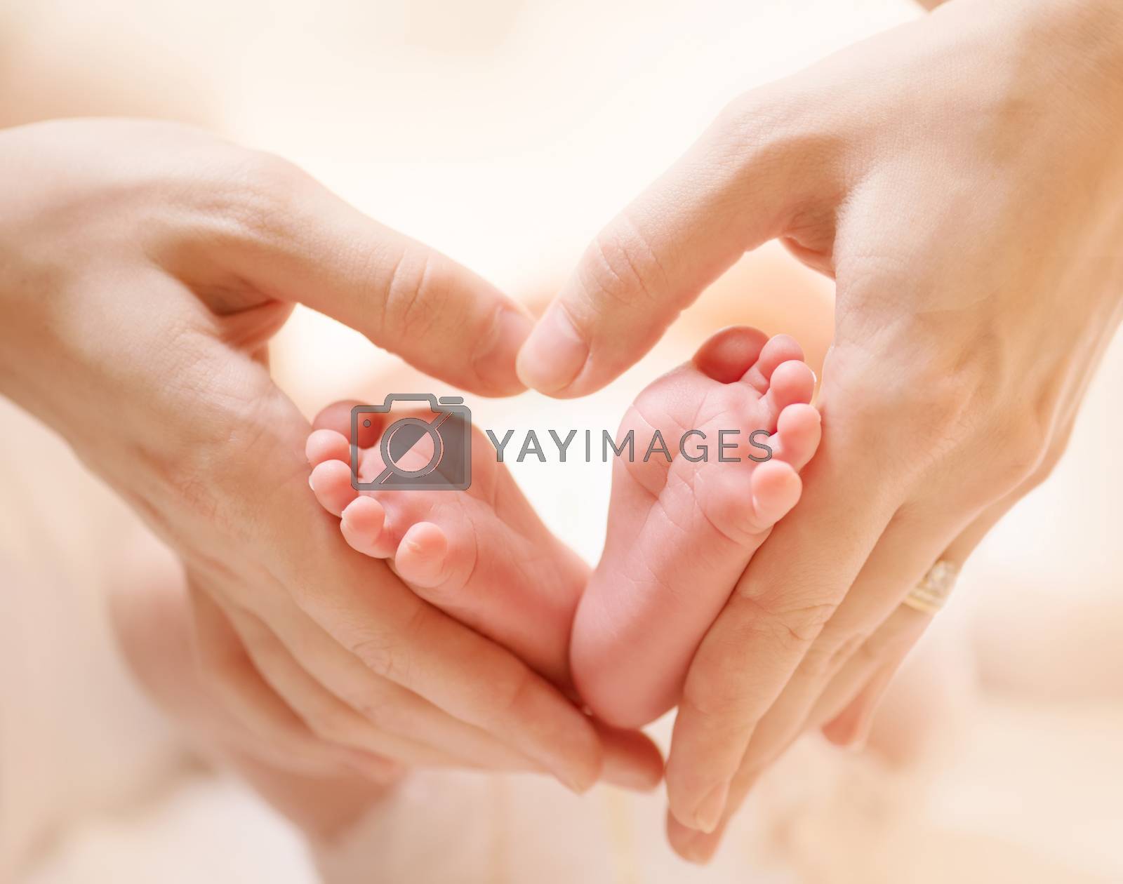 Royalty free image of Tiny Newborn Baby's feet on female Heart Shaped hands closeup by SubbotinaA