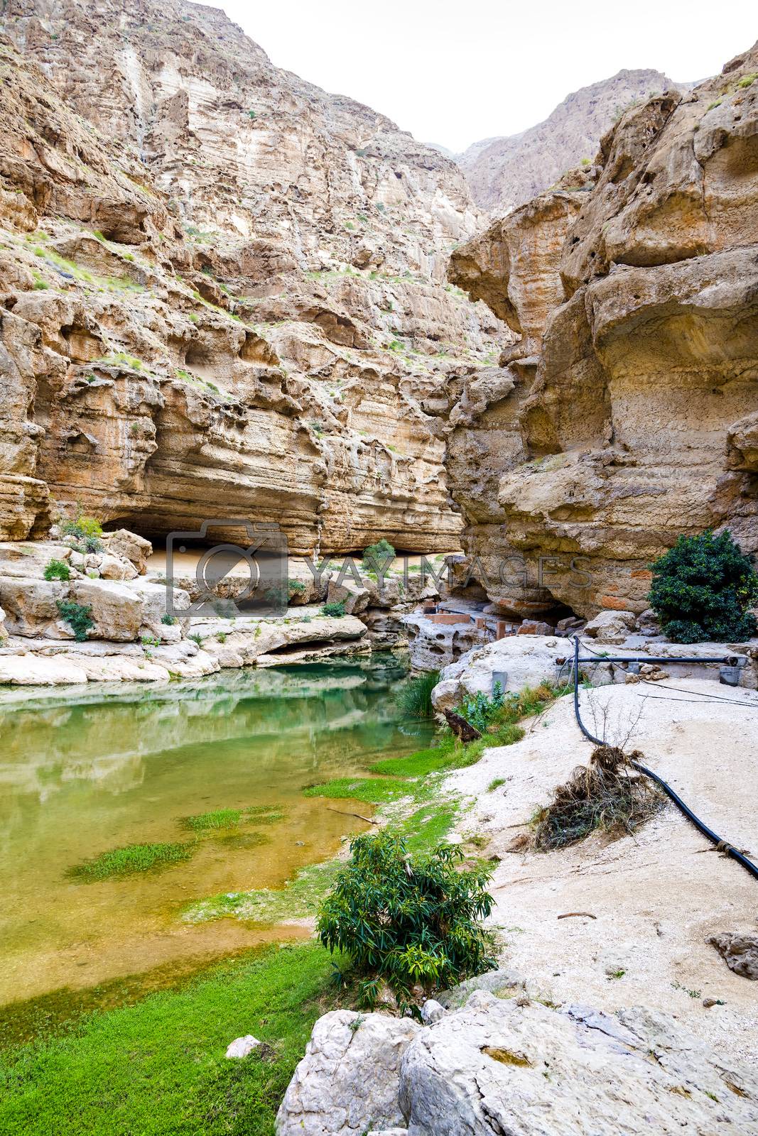 Royalty free image of Wadi Shab Oman by w20er