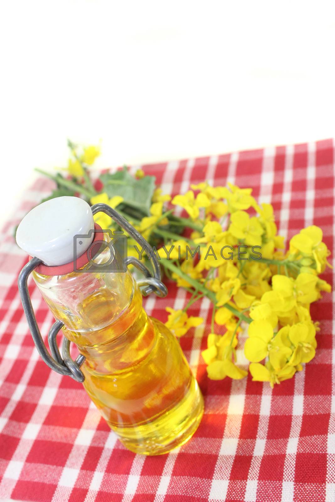 Royalty free image of Rapeseed oil by silencefoto
