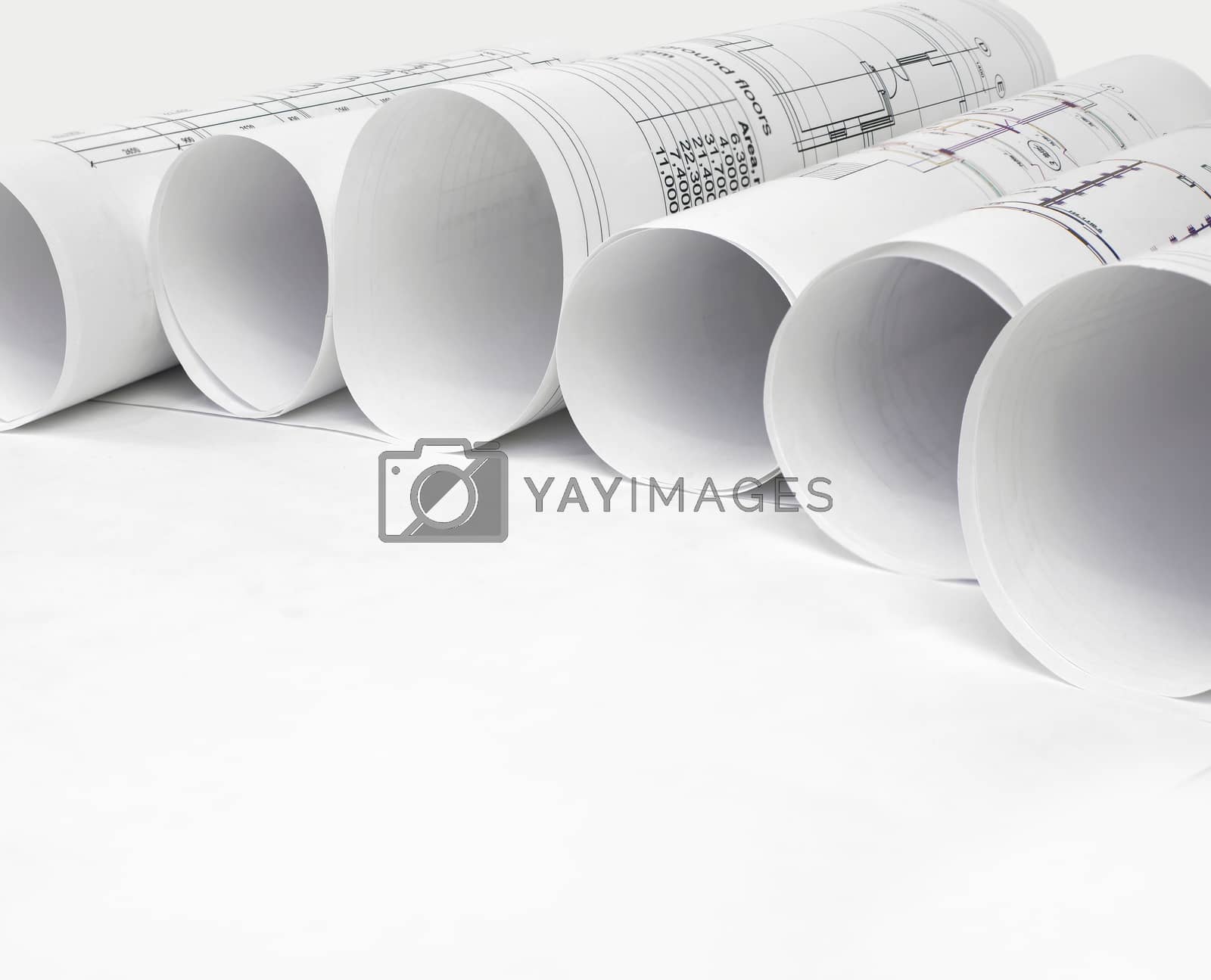 Royalty free image of Scrolls of architectural drawings by cherezoff