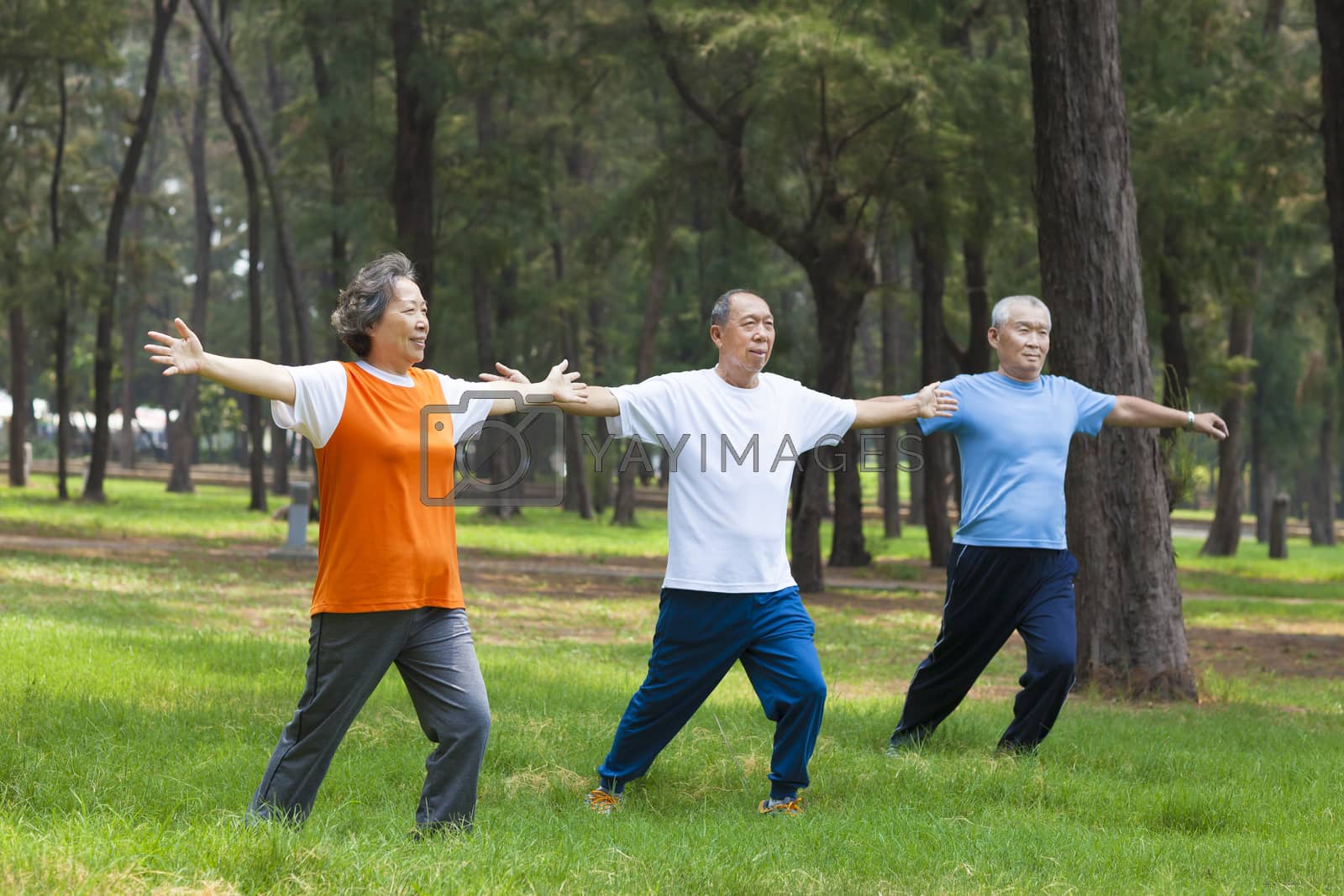 Royalty free image of seniors doing gymnastics in the park by tomwang