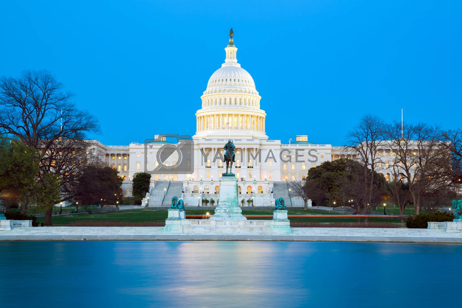 Royalty free image of US Capitol Building by vichie81