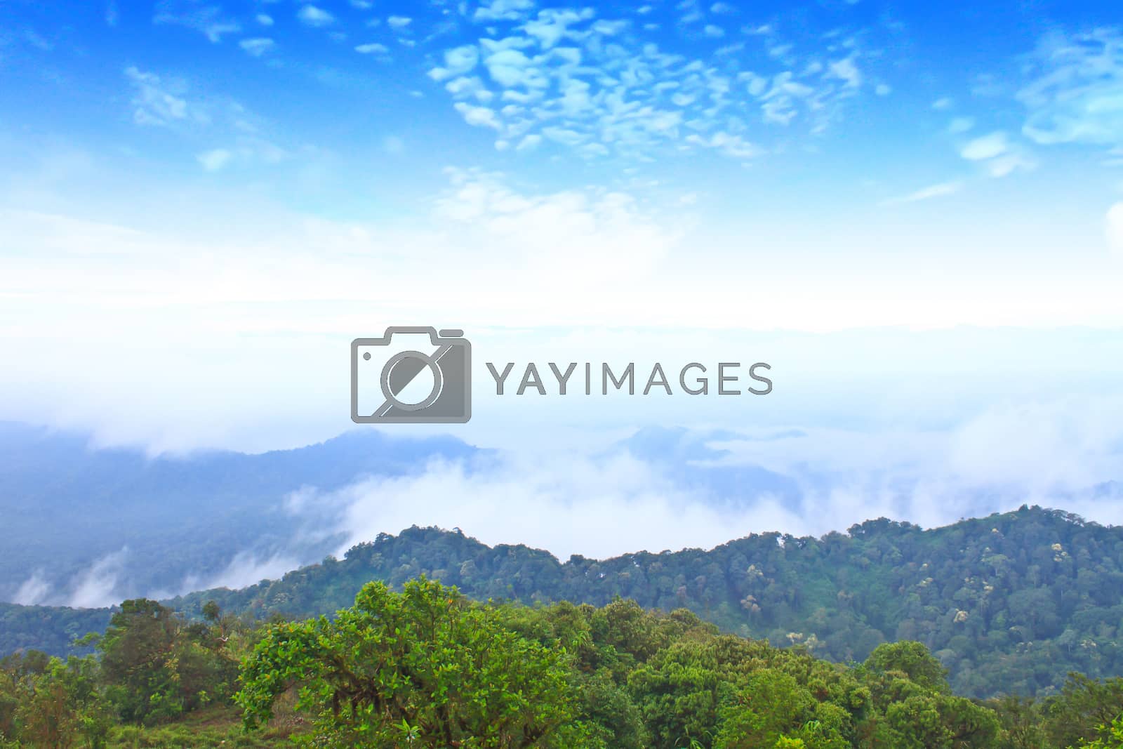 Royalty free image of Sea of fog with forests as foreground. This place is in the Kaen by forest71