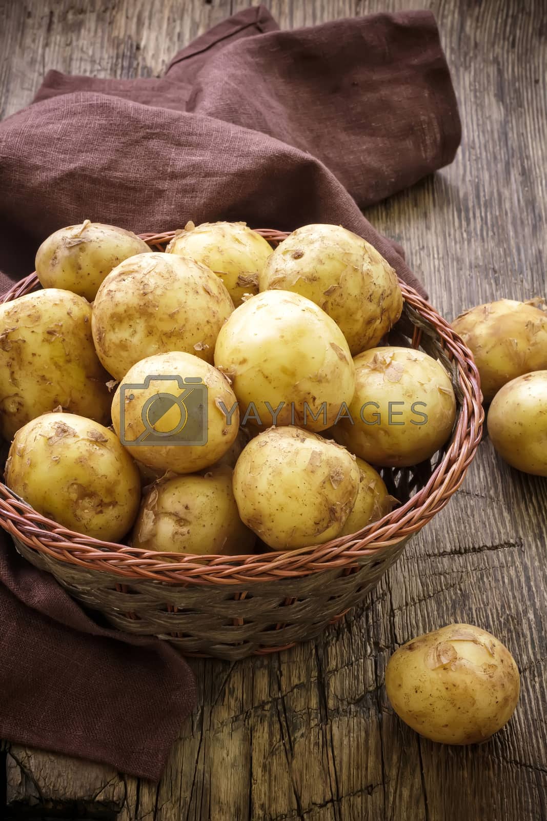 Royalty free image of Potato by yelenayemchuk