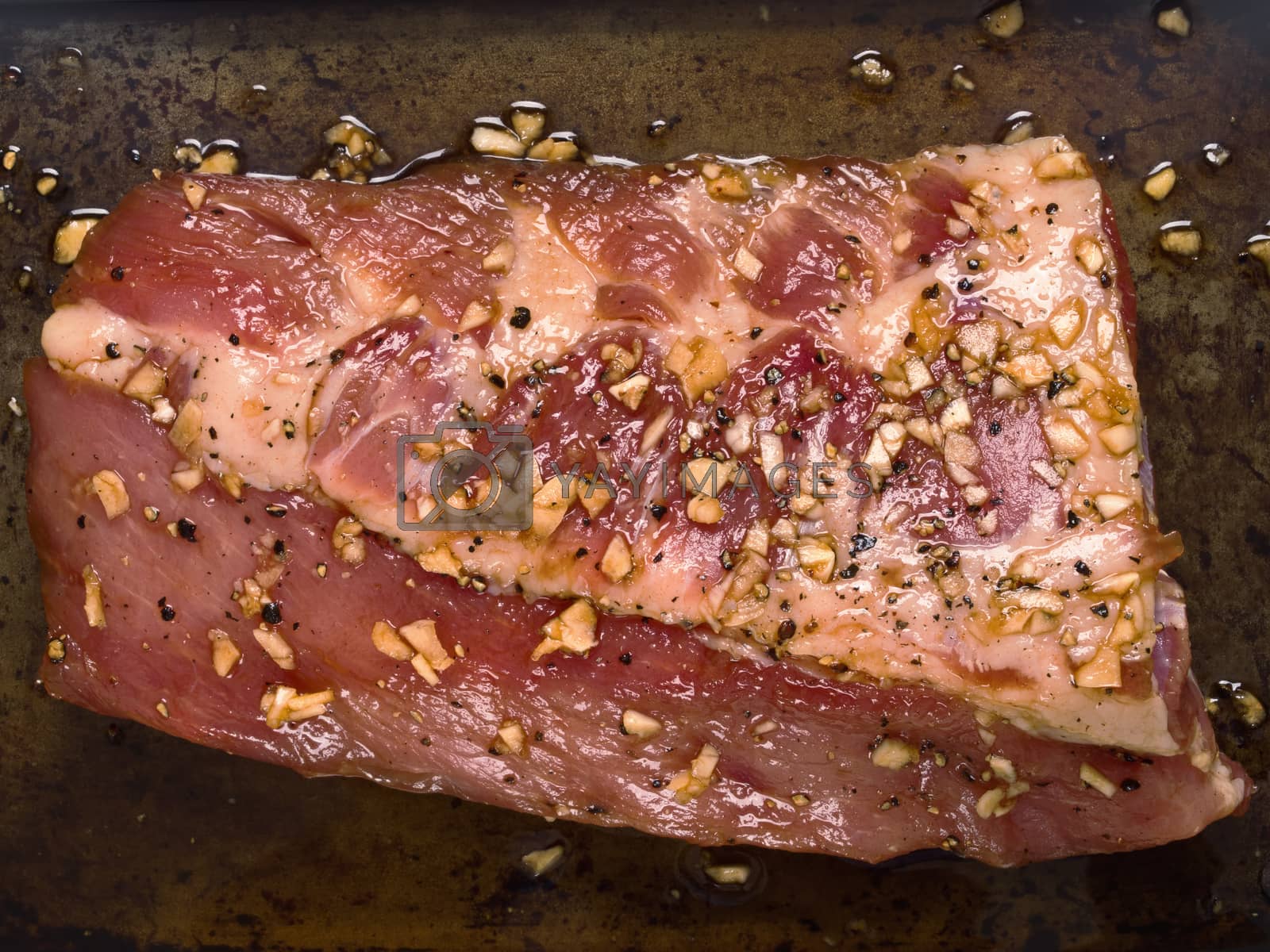 Royalty free image of rack of rustic raw marinated pork rib by zkruger