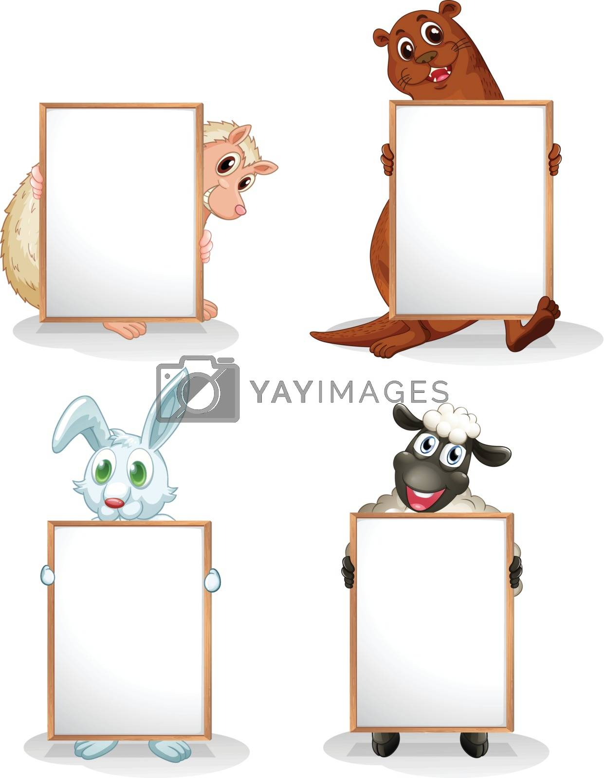 Royalty free image of Four animals with empty whiteboards by iimages