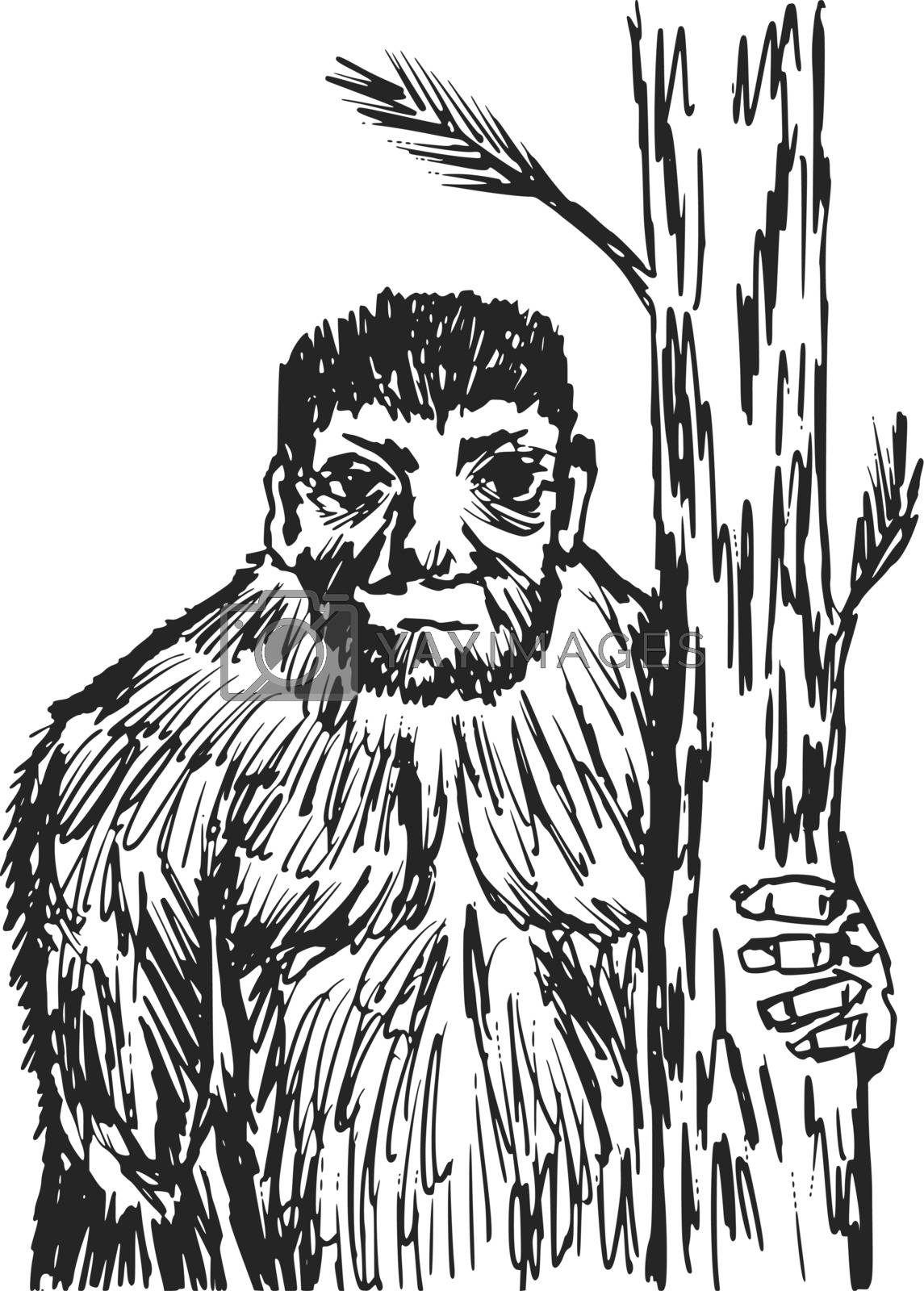 Royalty free image of bigfoot by Perysty