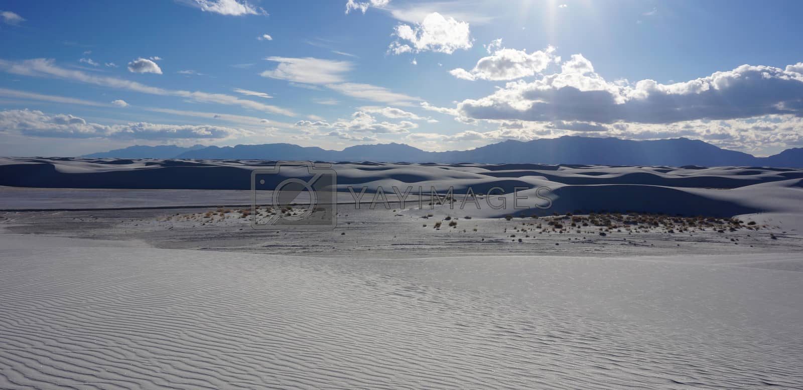 Royalty free image of White Sands, New Mexico by tang90246