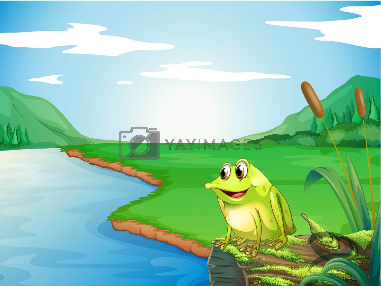 Royalty free image of A frog at the riverbank by iimages