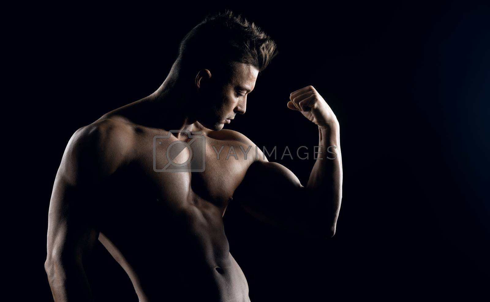 Royalty free image of Body builder posing by stokkete