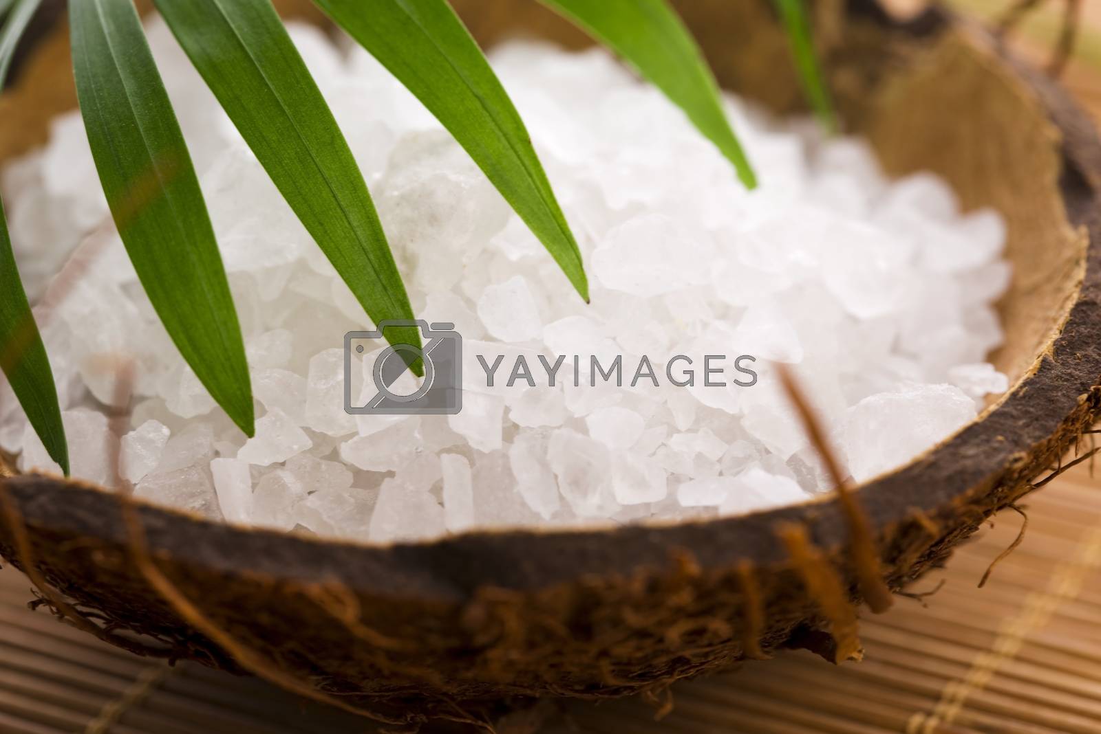 Royalty free image of sea salt with palm leaf by joannawnuk