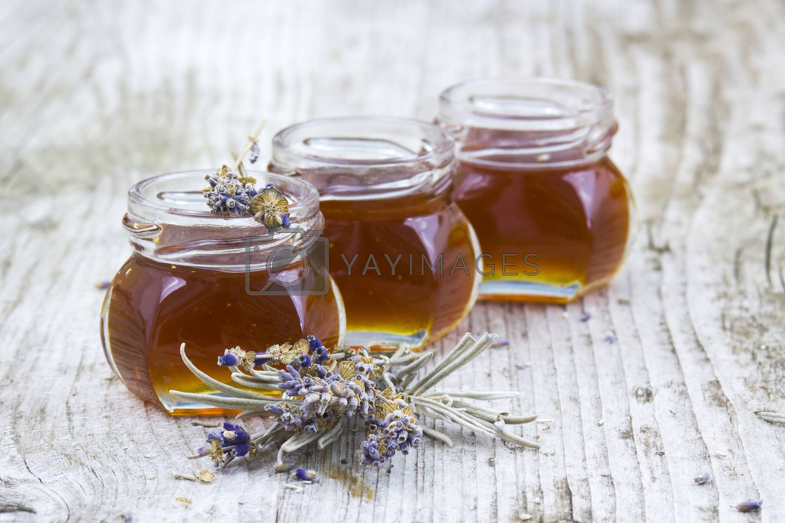 Royalty free image of herbal honey with lavender flowers by miradrozdowski