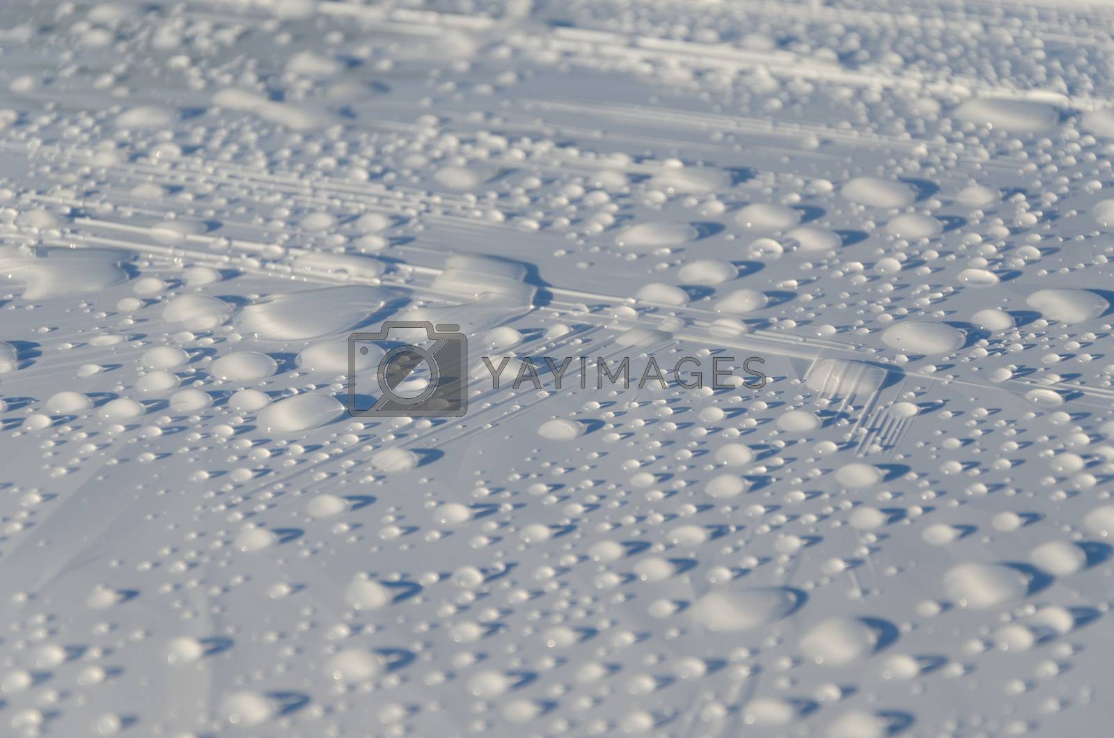Royalty free image of rain drops glisten on white surface background  by sauletas
