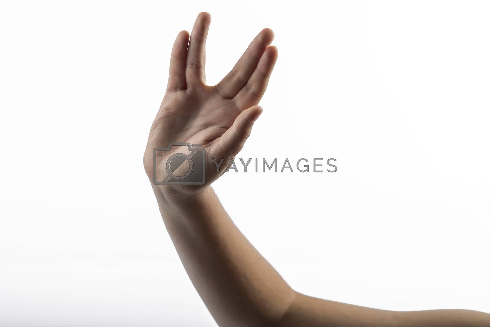 Royalty free image of Young hands make Vulcan Salute by paocasa
