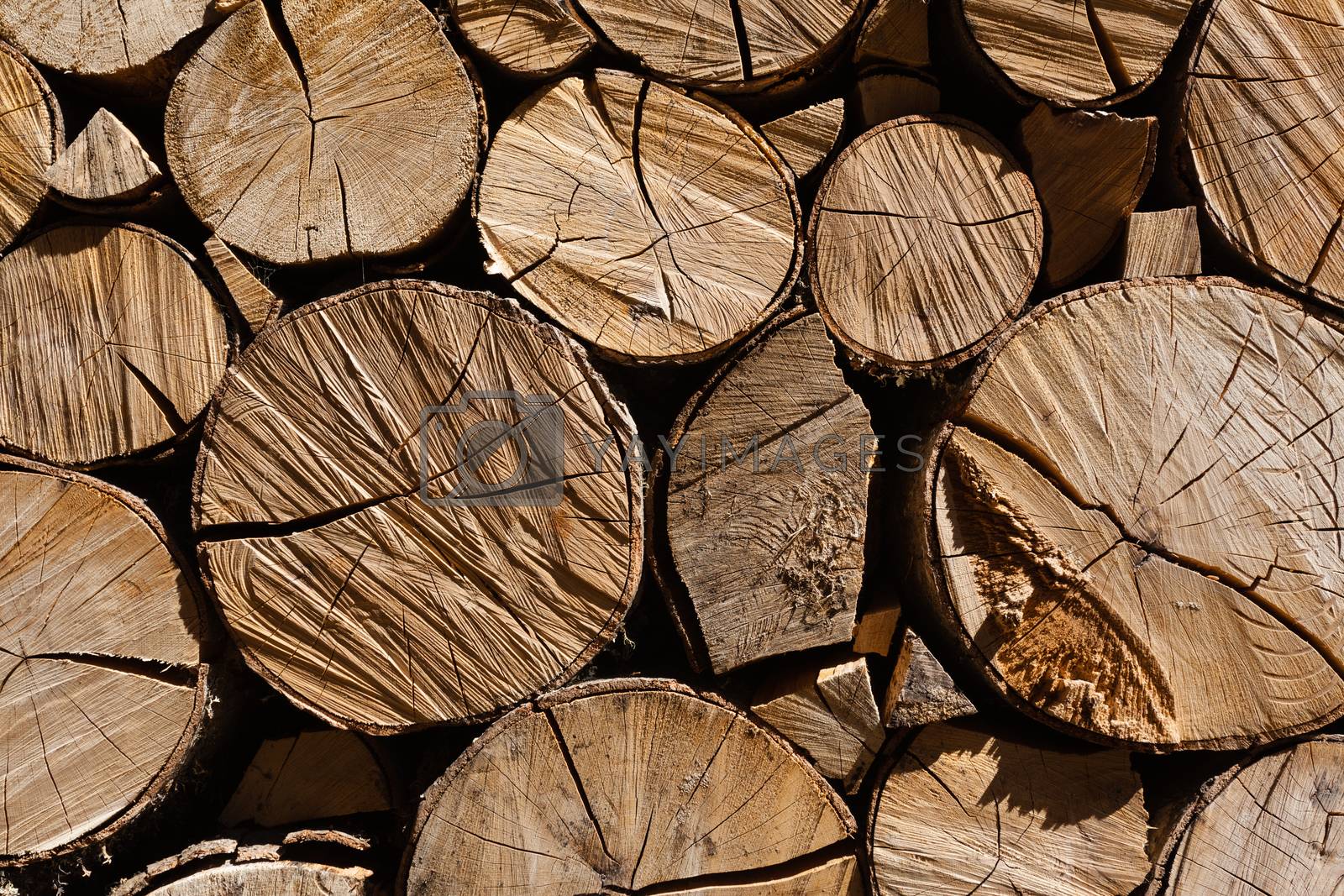 Royalty free image of horizontal squeezed logs by imagsan