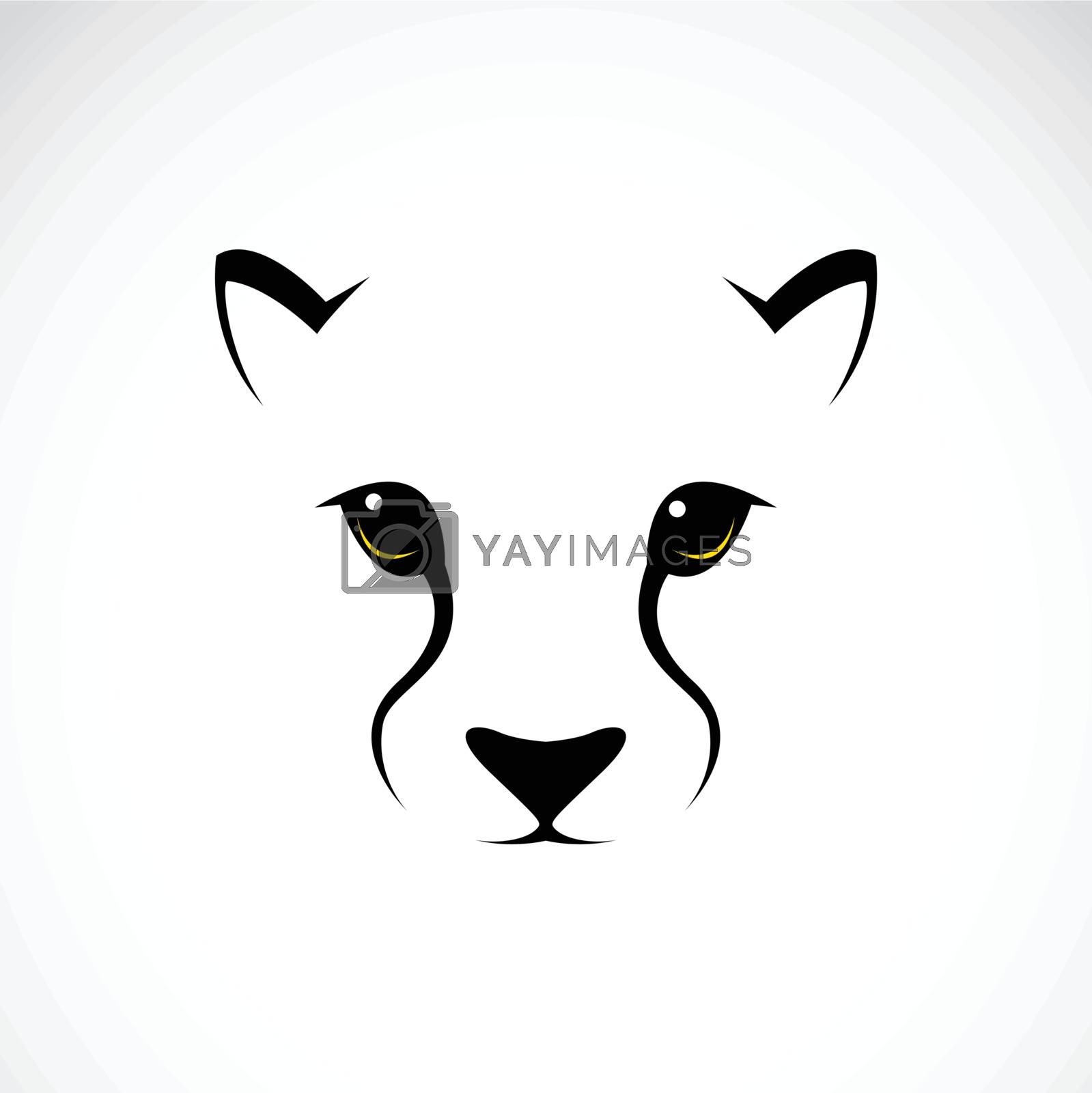 Royalty Free Vector | Vector image of an cheetah face by yod67