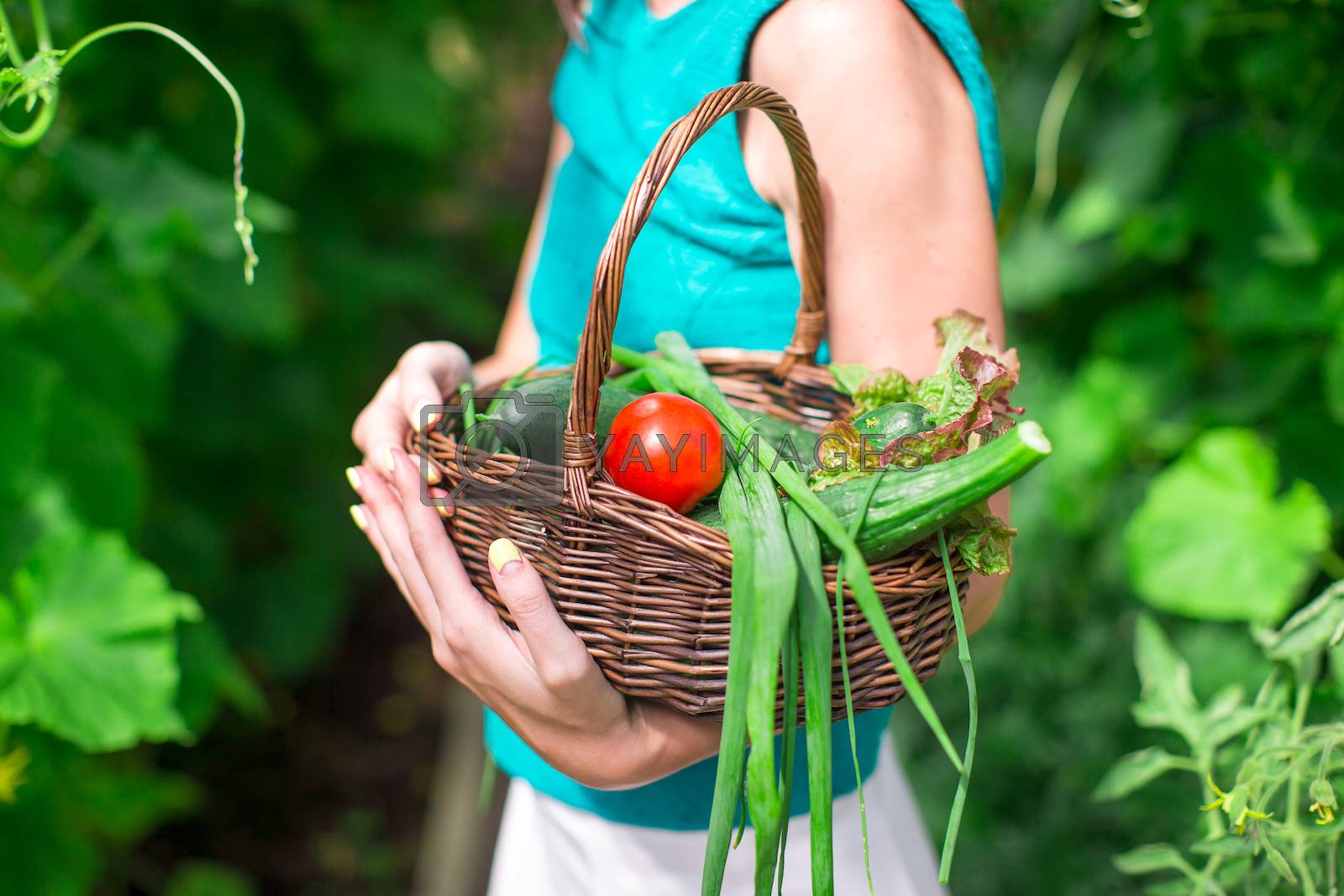 Royalty free image of Close-up basket of greens in woman's hands by travnikovstudio