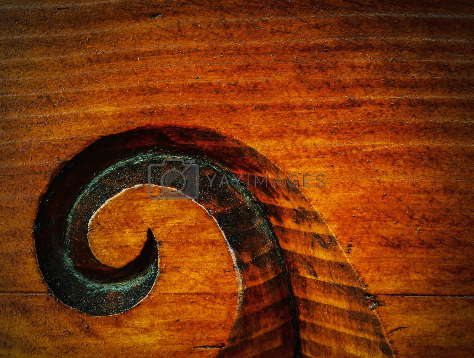 Royalty free image of woodcarving spiral by Ahojdoma