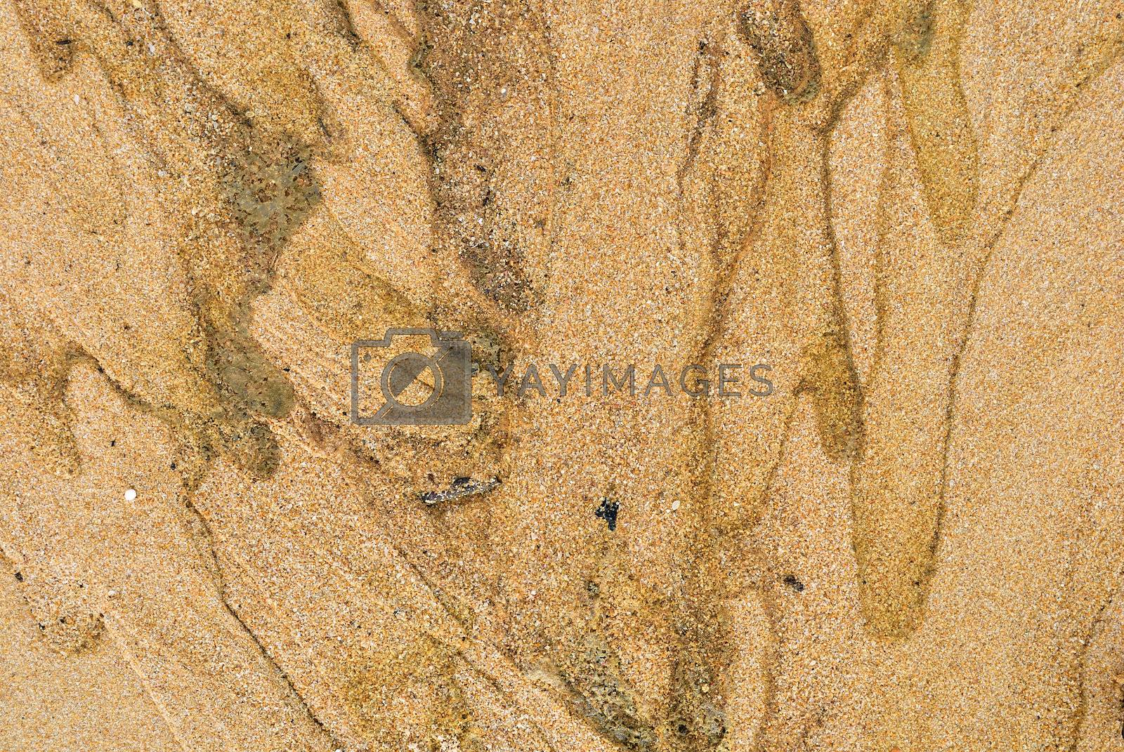 Royalty free image of Texture of sand and waste water leak on beach . by teen00000