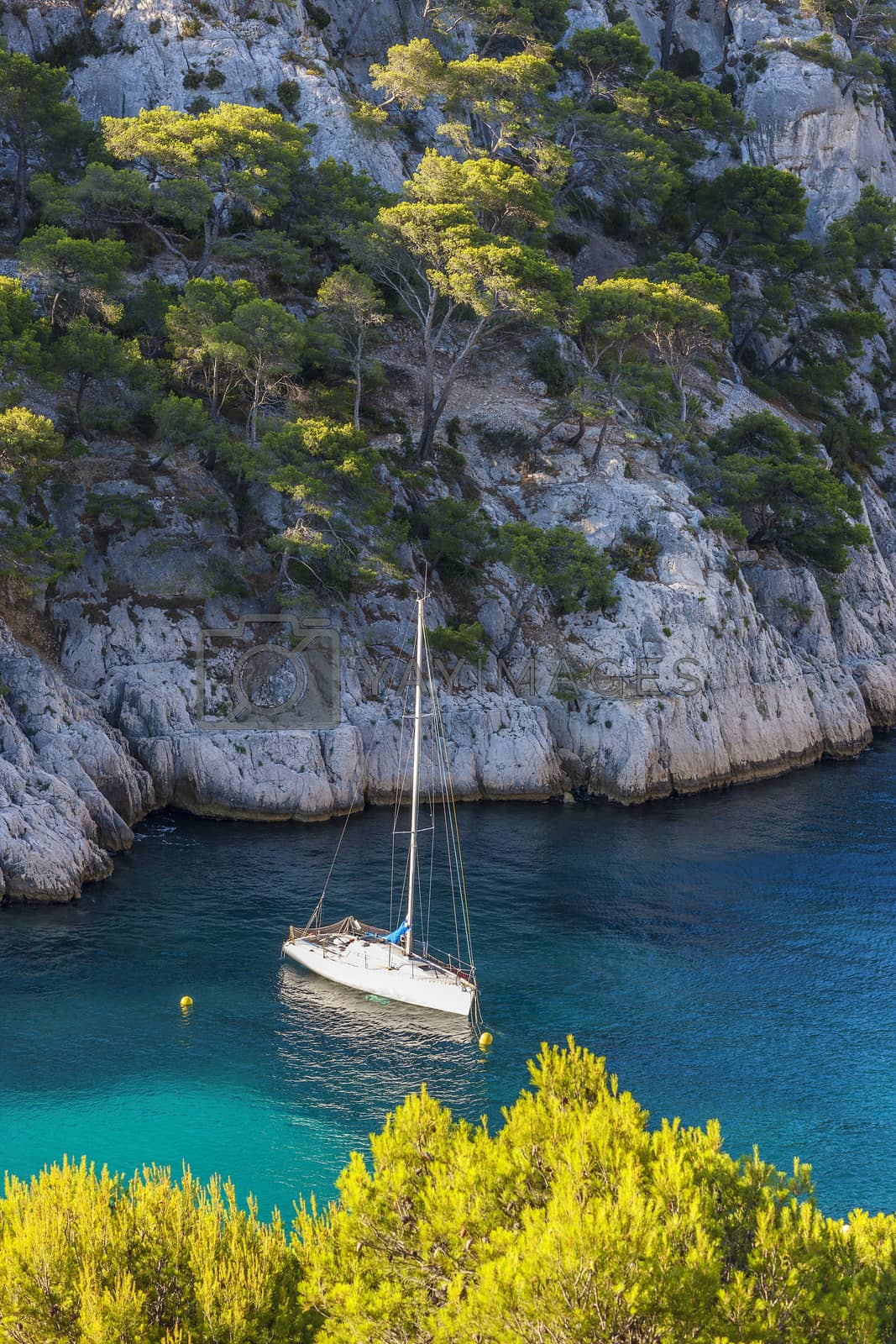 Royalty free image of Calanques of Port Pin with boat by vwalakte