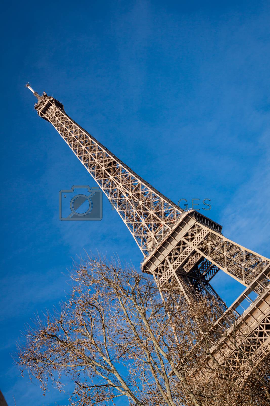 Royalty free image of Eiffel Tower in Paris by juniart