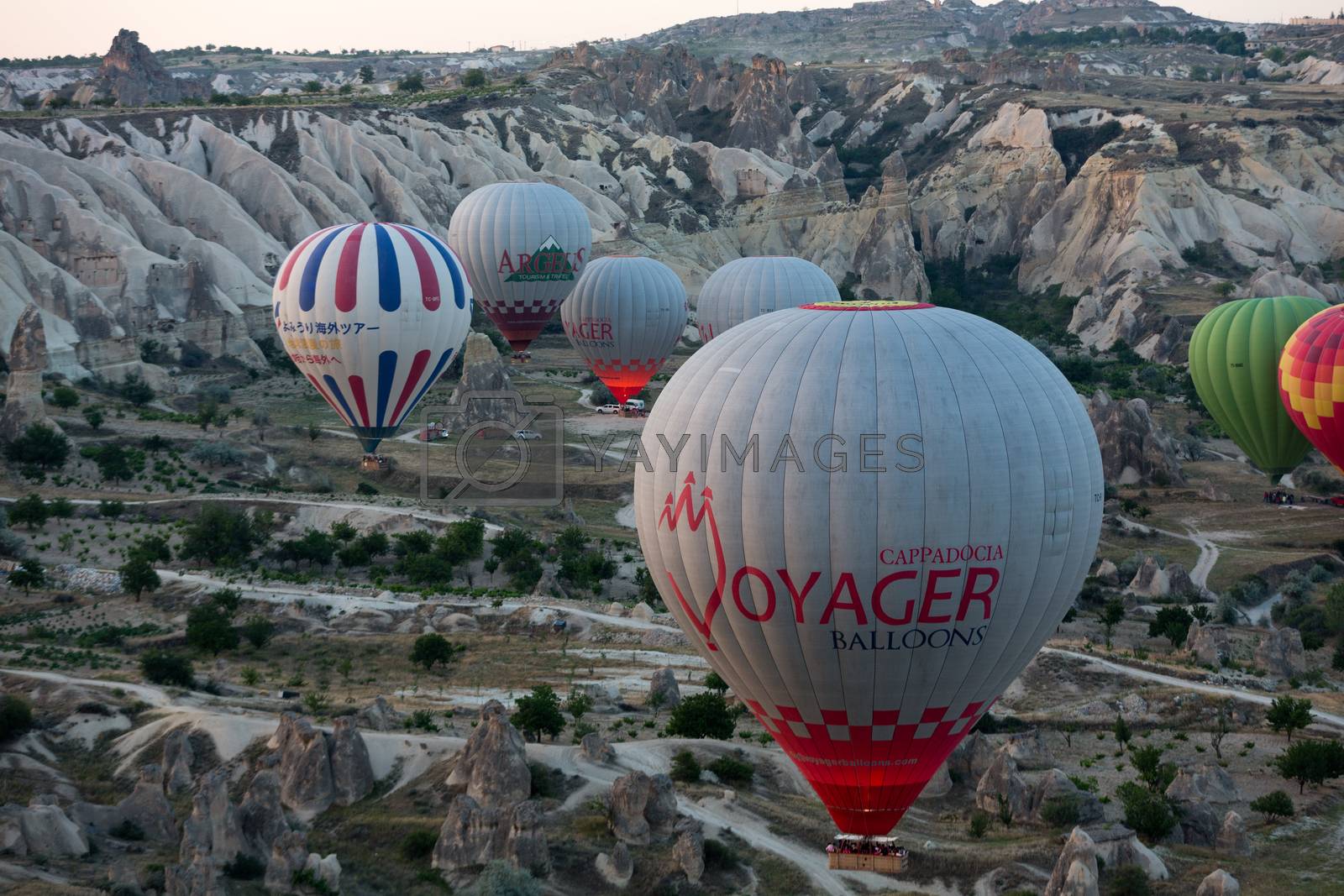Royalty free image of Hot Air Baloons over Cappadocia at sunrise by wjarek