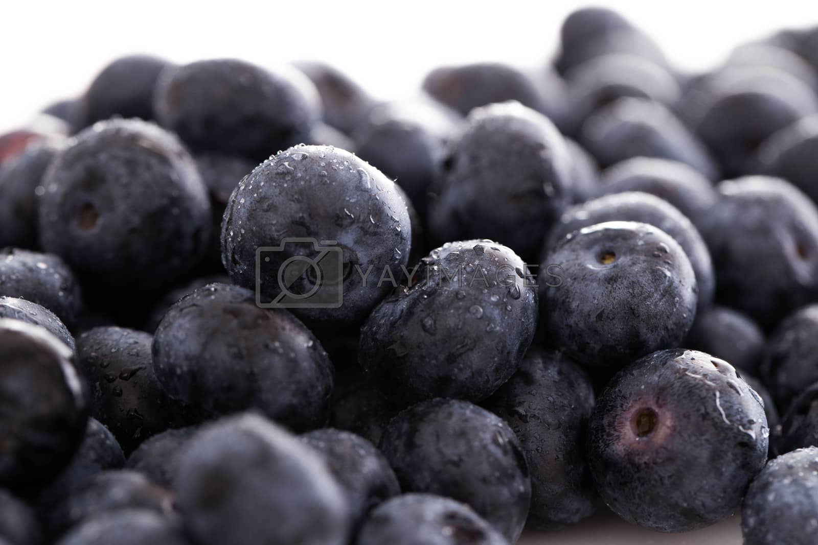Royalty free image of Lots of blueberries by rufatjumali