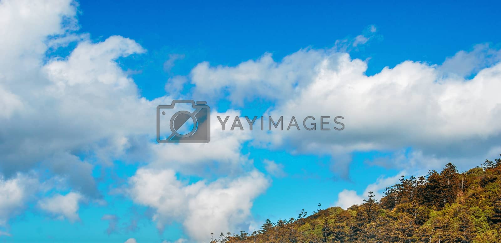 Royalty free image of Blue sky with clouds over green forest by jovannig