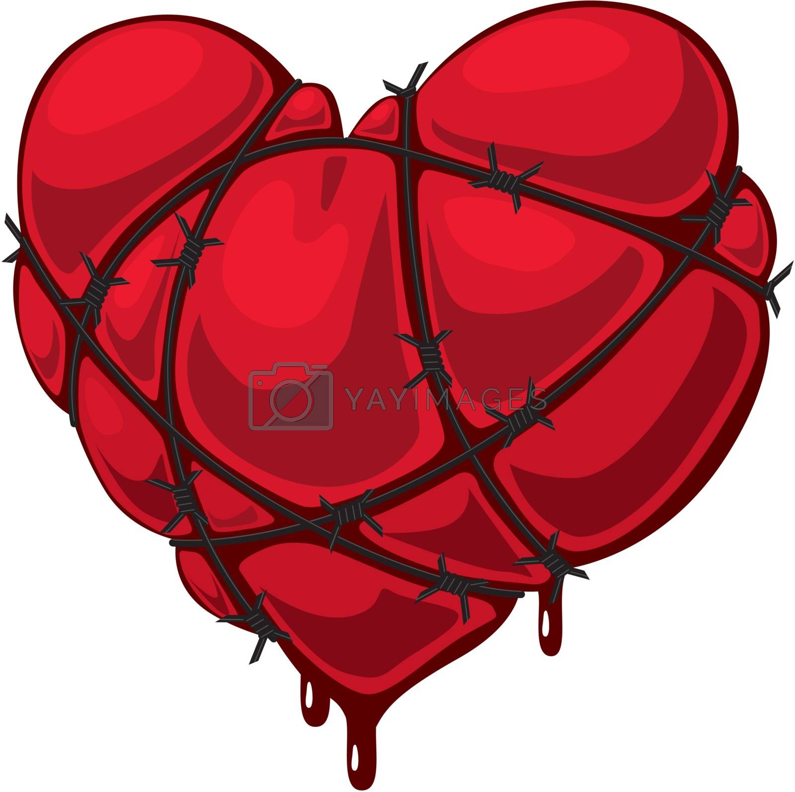 Royalty free image of Heart with barbed wire by polygraphus