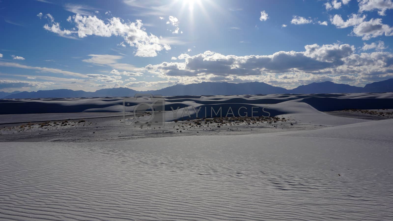 Royalty free image of White Sands, New Mexico by tang90246