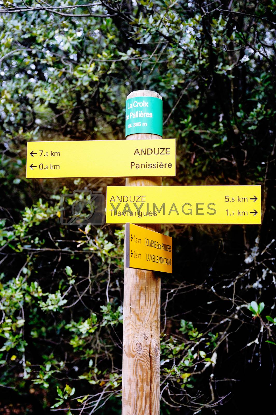 Royalty free image of Sign indicating direction by gillespaire