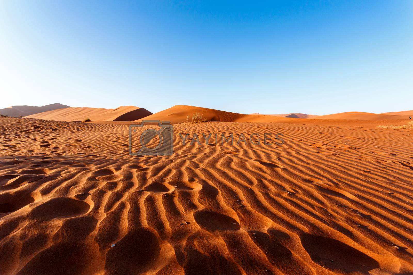 Royalty free image of sand dunes at Sossusvlei, Namibia by artush