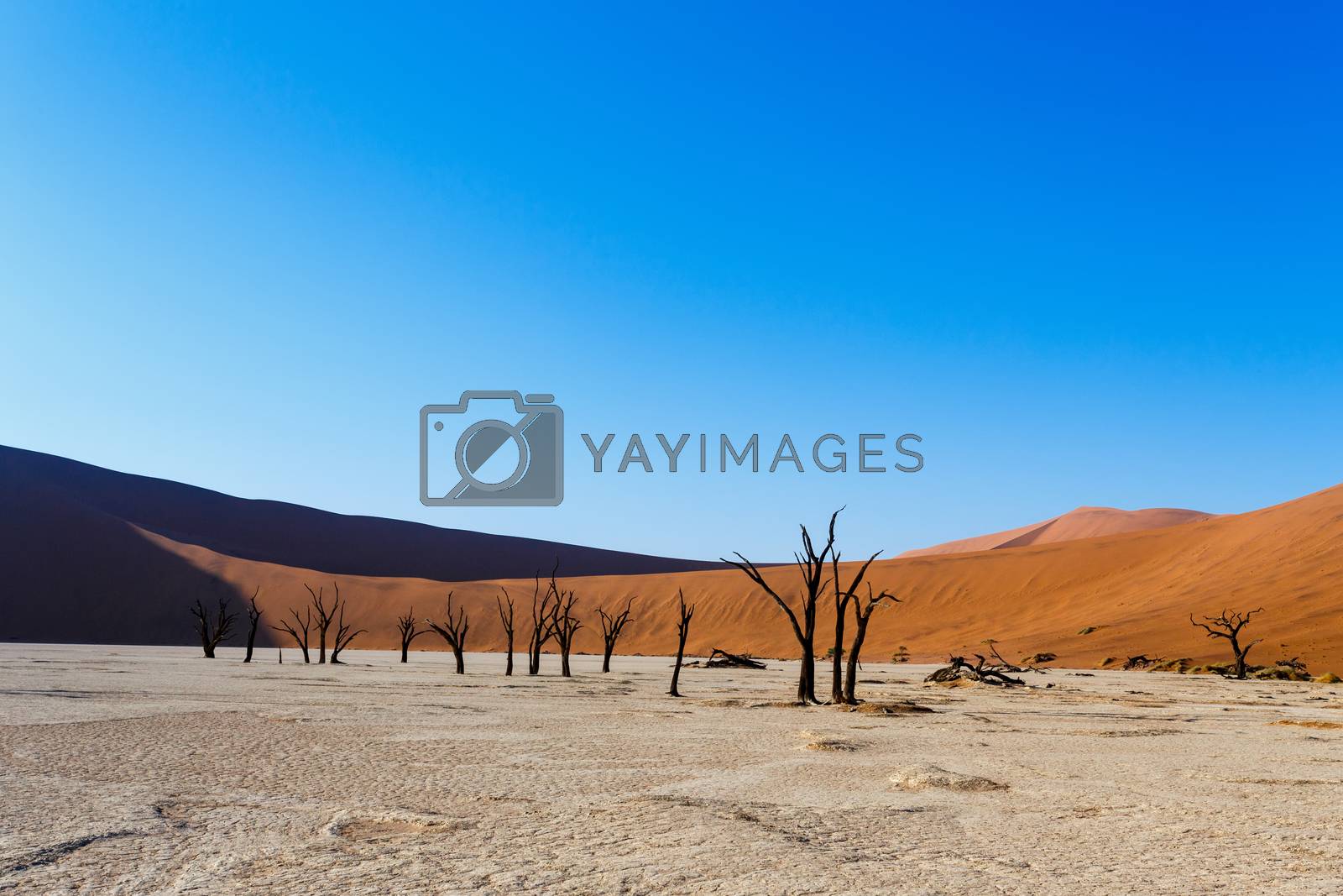 Royalty free image of beautiful landscape of Hidden Vlei in Namib desert  by artush
