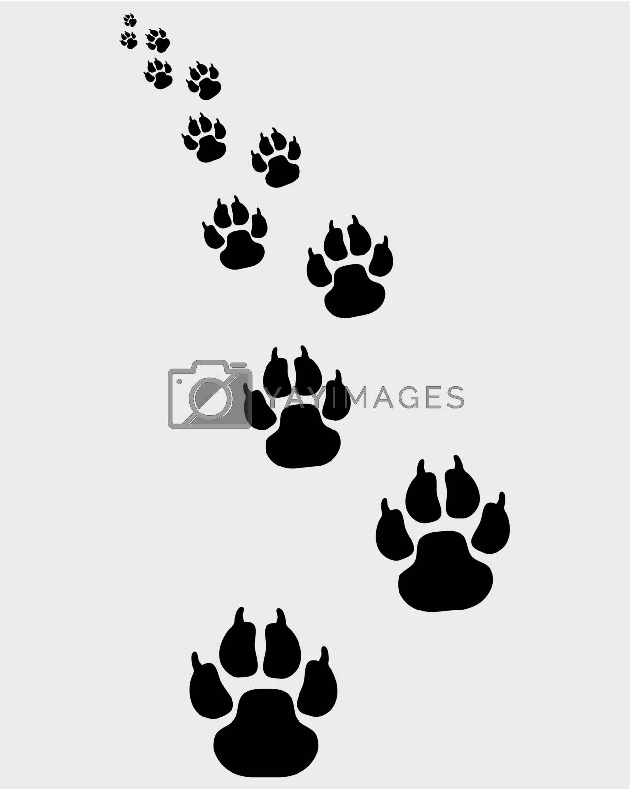 Royalty free image of footprints of dogs 2 by ratkomat