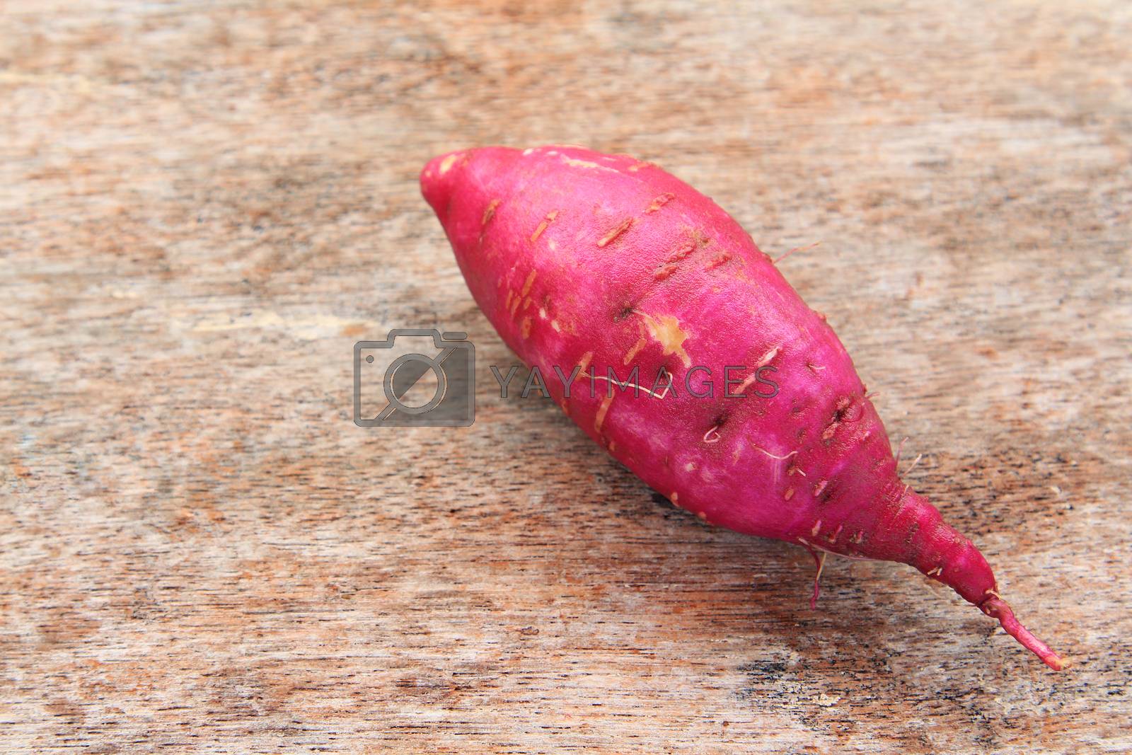 Royalty free image of Sweet Potato by foto76