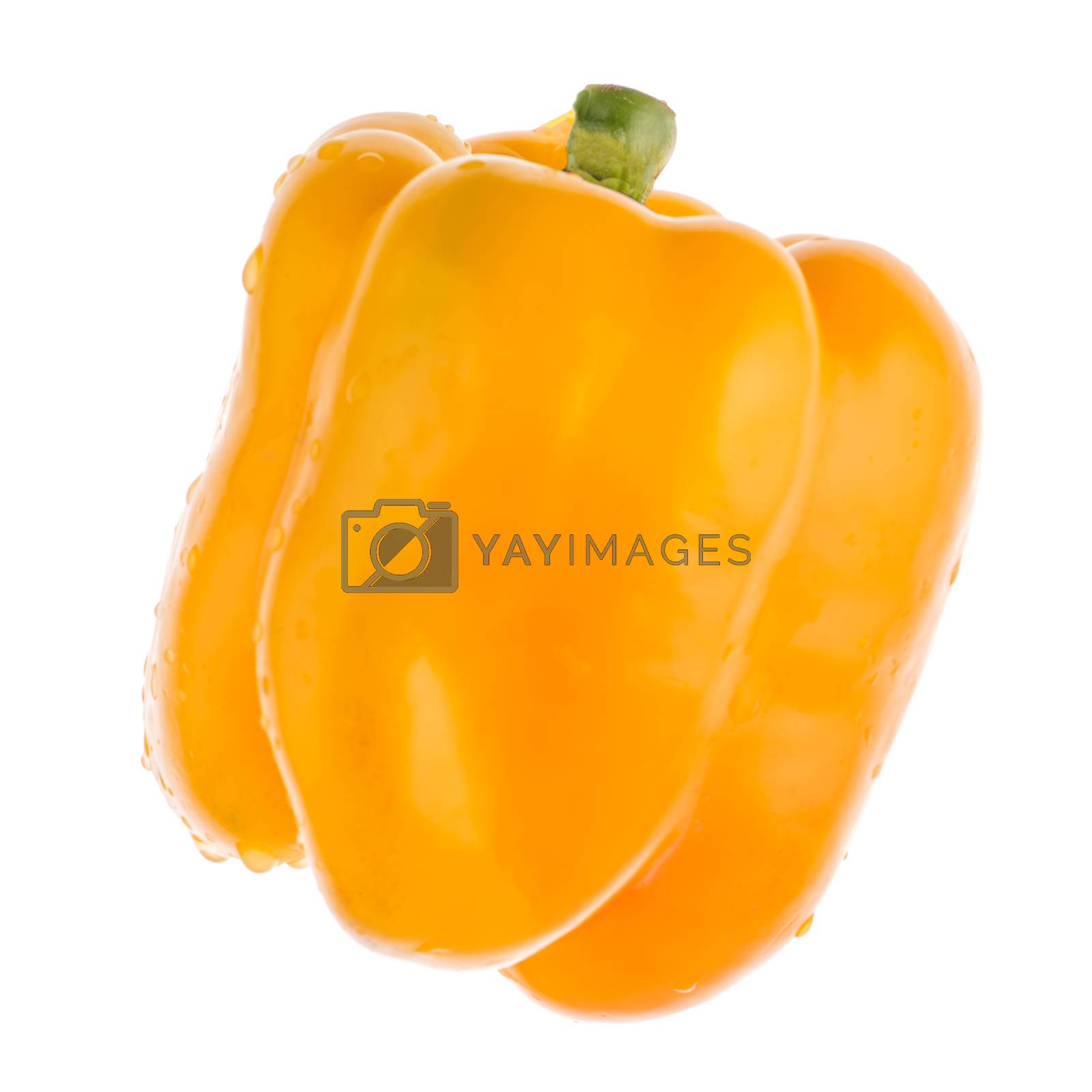 Royalty free image of Sweet yellow pepper by homydesign