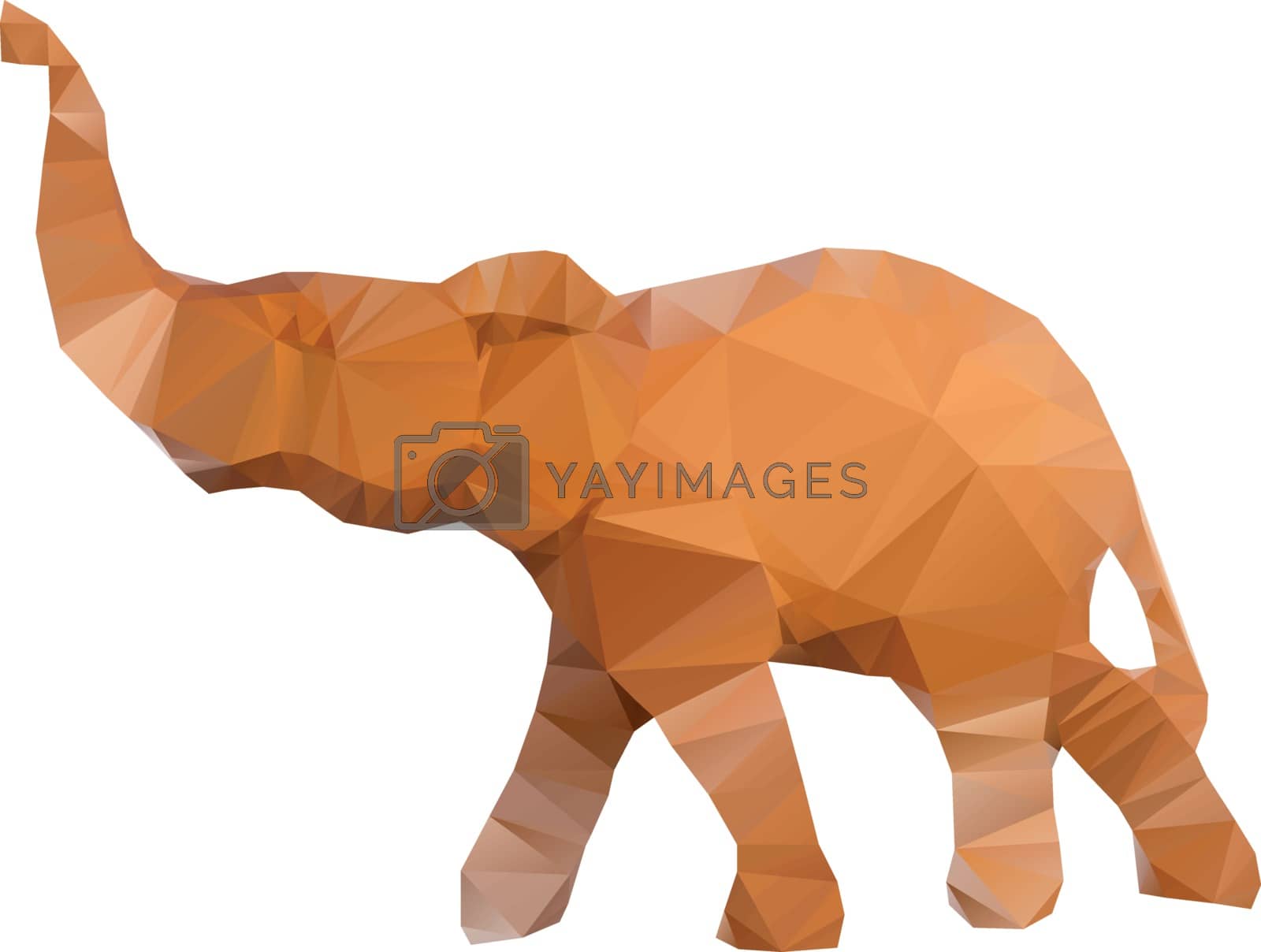 Royalty free image of Polygonal illustration of head of elephant isolated on white background by gigra