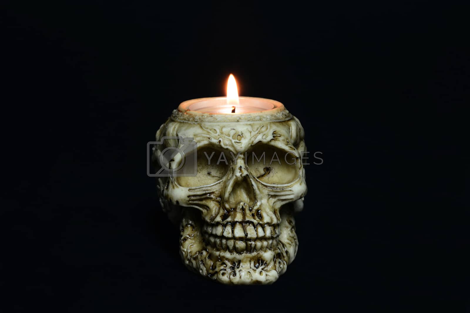 Royalty free image of creepy skull candle on black background - front by dk_photos