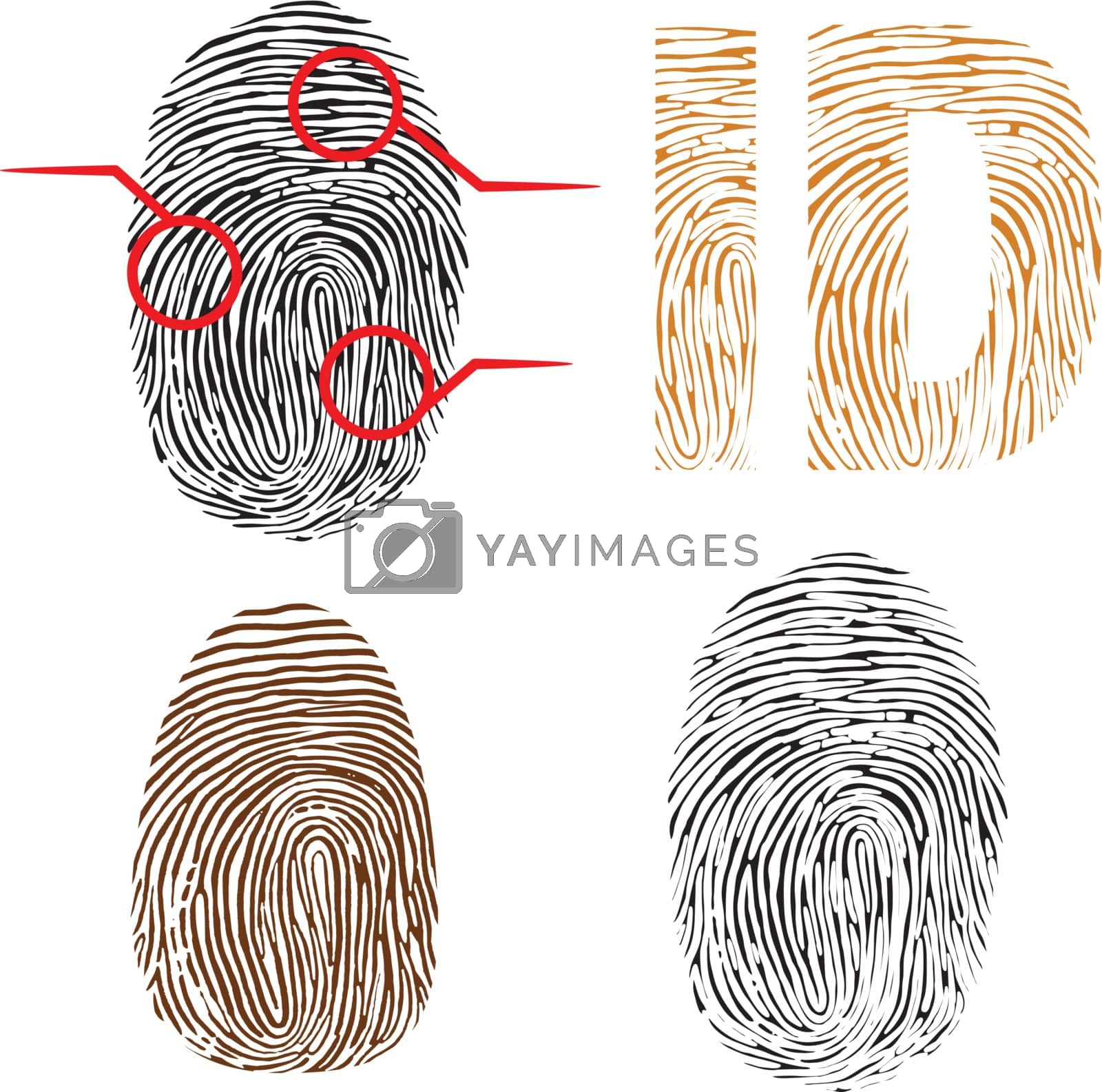 Royalty free image of Fingerprints by Portokalis