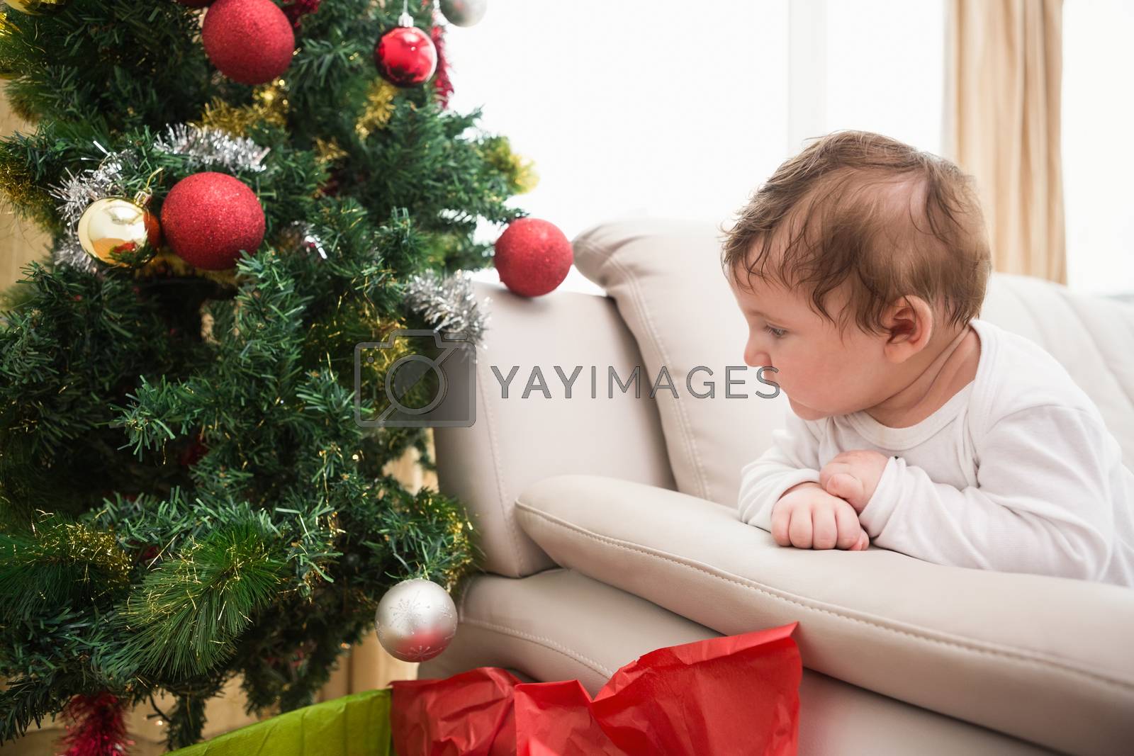 Royalty free image of Cute baby boy on couch at christmas by Wavebreakmedia