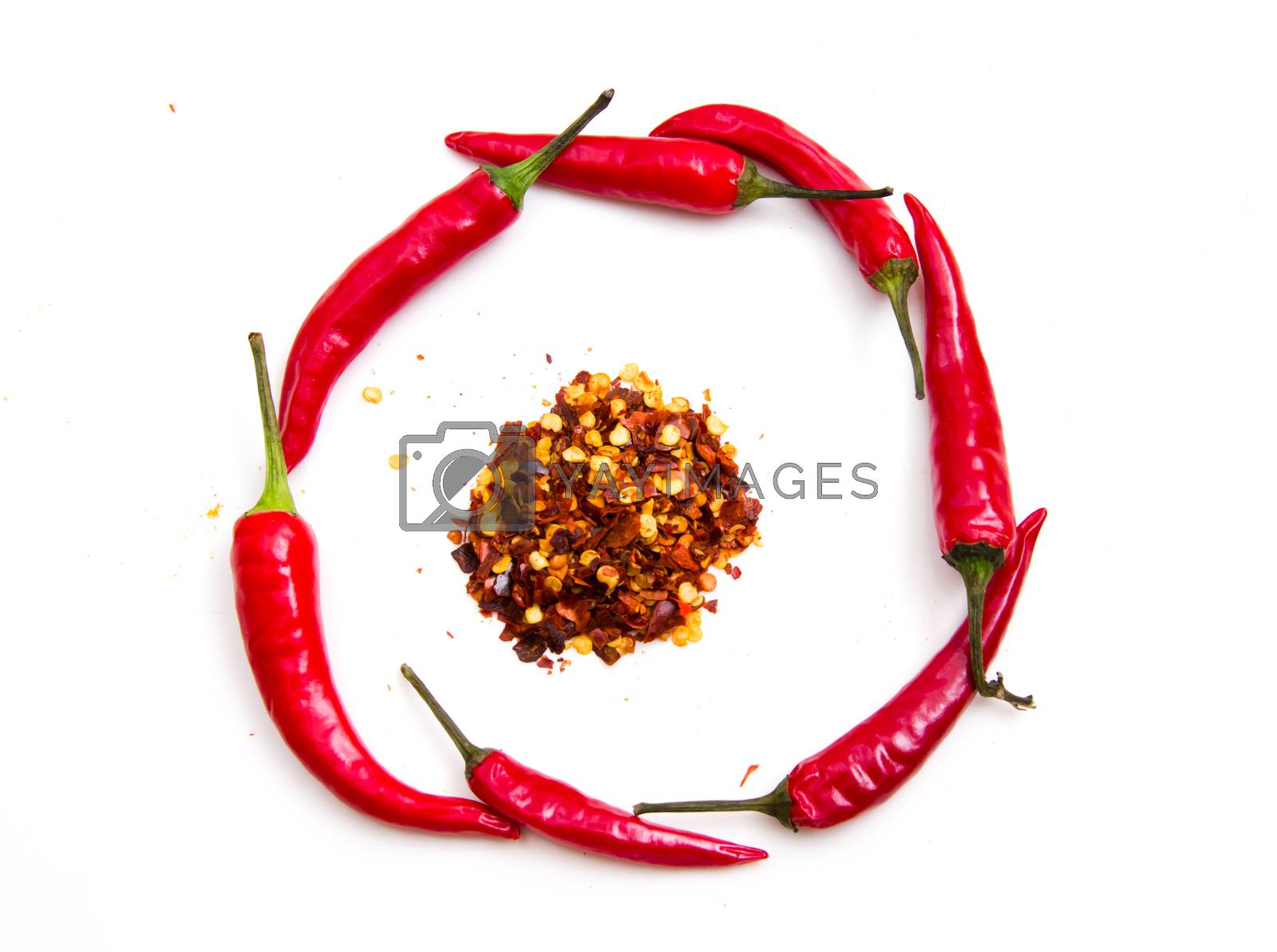 Royalty free image of Hot peppers around spices by spafra