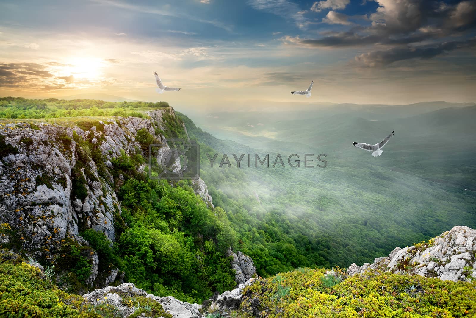 Royalty free image of Birds over plateau by Givaga